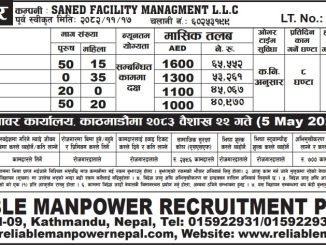 SANED FACILITY MANAGMENT L.L.C